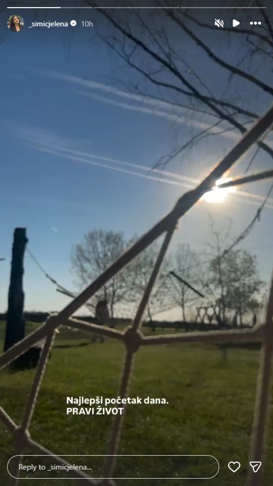 Jelena Simić, objava