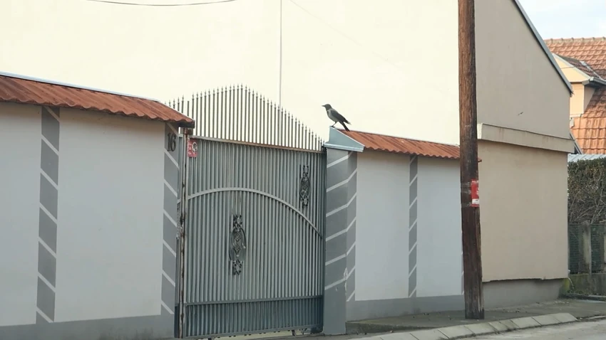 Posetili smo kuću Miljane Kulić nakon što je diskvalifikovana iz Elite 9: Evo šta smo zatekli u Nišu