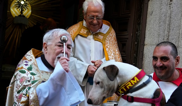 Sveštenik blagoslovio kućne ljubimce u Španiji