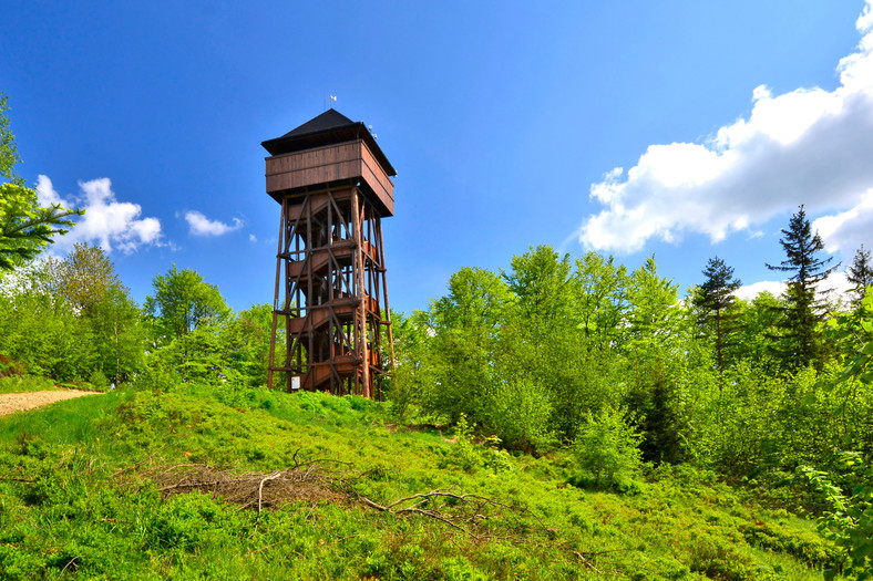 Wieża widokowa na Koziarzu (woj. małopolskie)