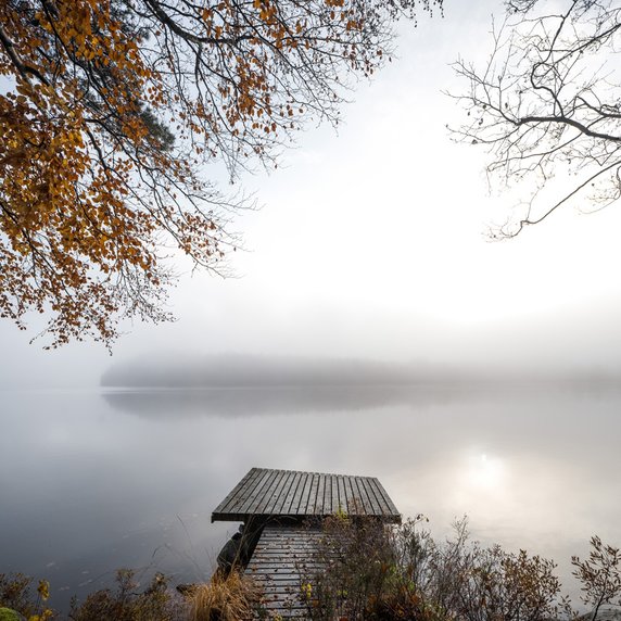 Hotel "Vipp Shelter" w Szwecji