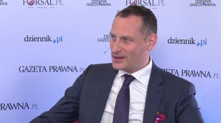 Wojtera o komercjalizacji PPL: Bezpośrednim impulsem była ustawa o usprawnieniu CPK