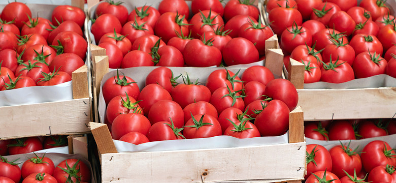 O tych rzeczach pamiętaj wybierając pomidory