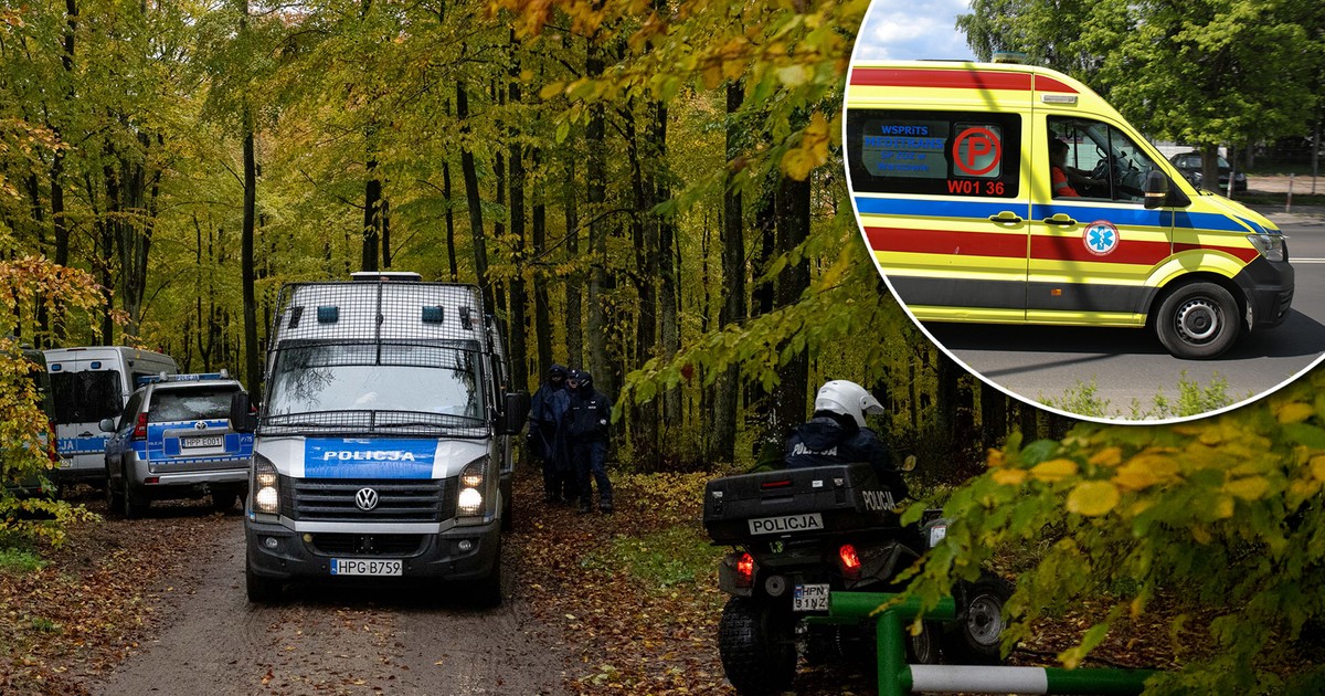 Groza w środku lasu. Przygnieciony rolnik godzinami czekał na pomoc