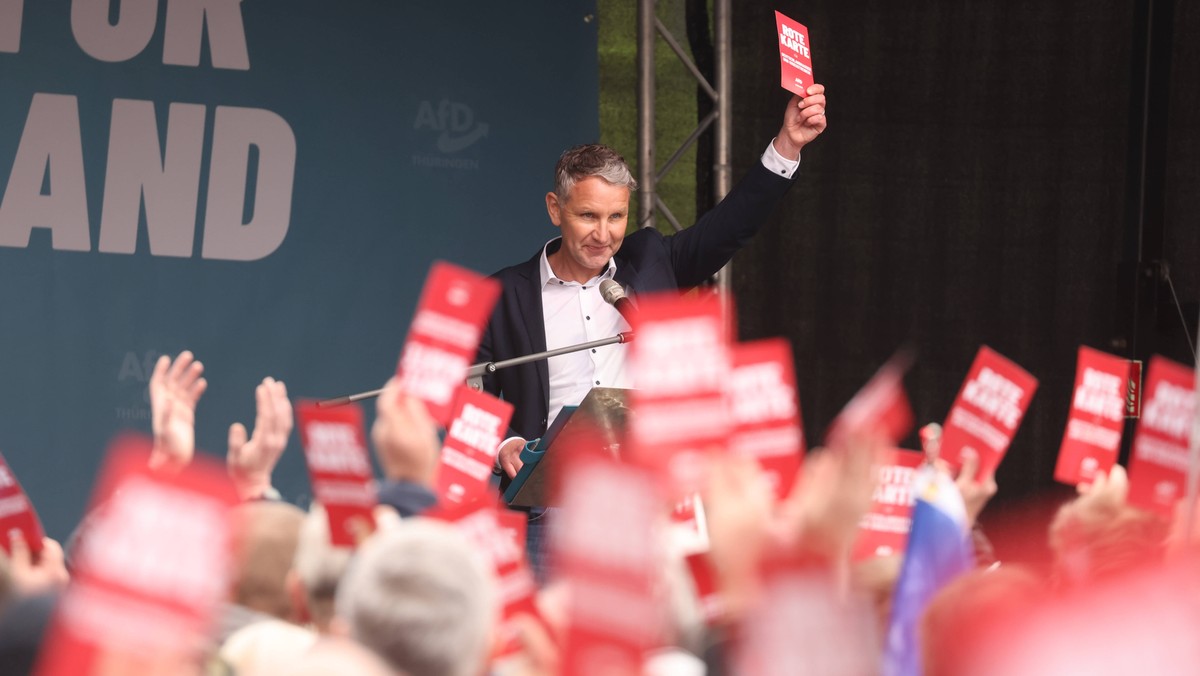 Prawicowy populizm w Niemczech rośnie w siłę. Co stoi za sukcesem AfD?