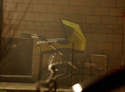 Rottweiler zagryzł siedmiomiesięczną dziewczynkę