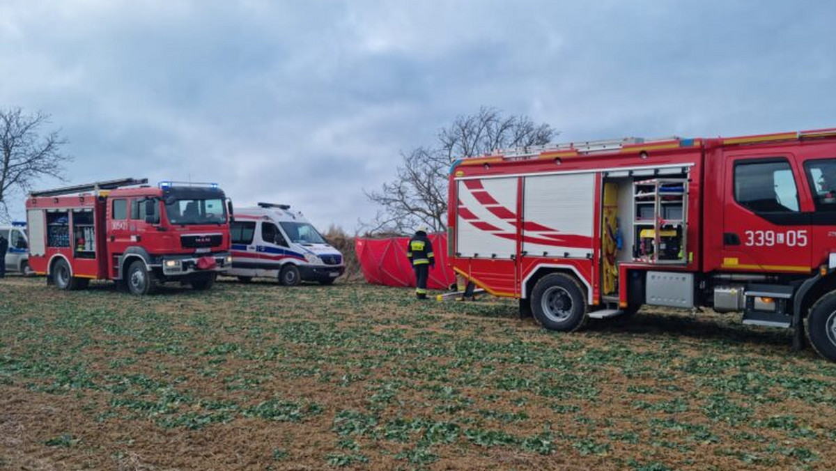 Lublin. Nie żyje mężczyzna przygnieciony przez drzewo