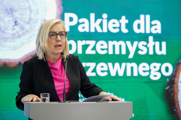 Paulina Hennig-Kloska podczas konferencji prasowej "Wspieramy polską branżę drzewną"