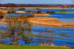 Będzie powtórka z Doliny Rospudy? Via Carpatia przeciąć ma największy park narodowy w Polsce