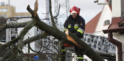 Tysiące domów bez prądu. Wichura nad Polską