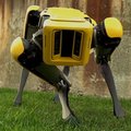 Szef Boston Dynamics: roboty zmienią świat bardziej niż internet

