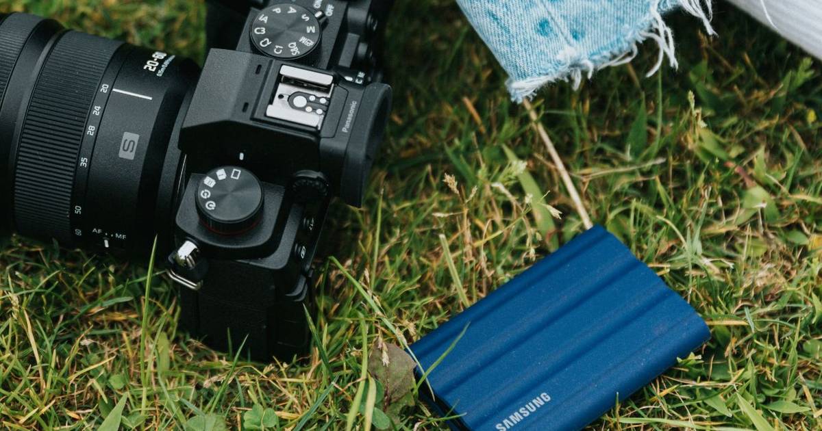 Zaniosłam dane do lasu. I przetrwały więcej niż ja