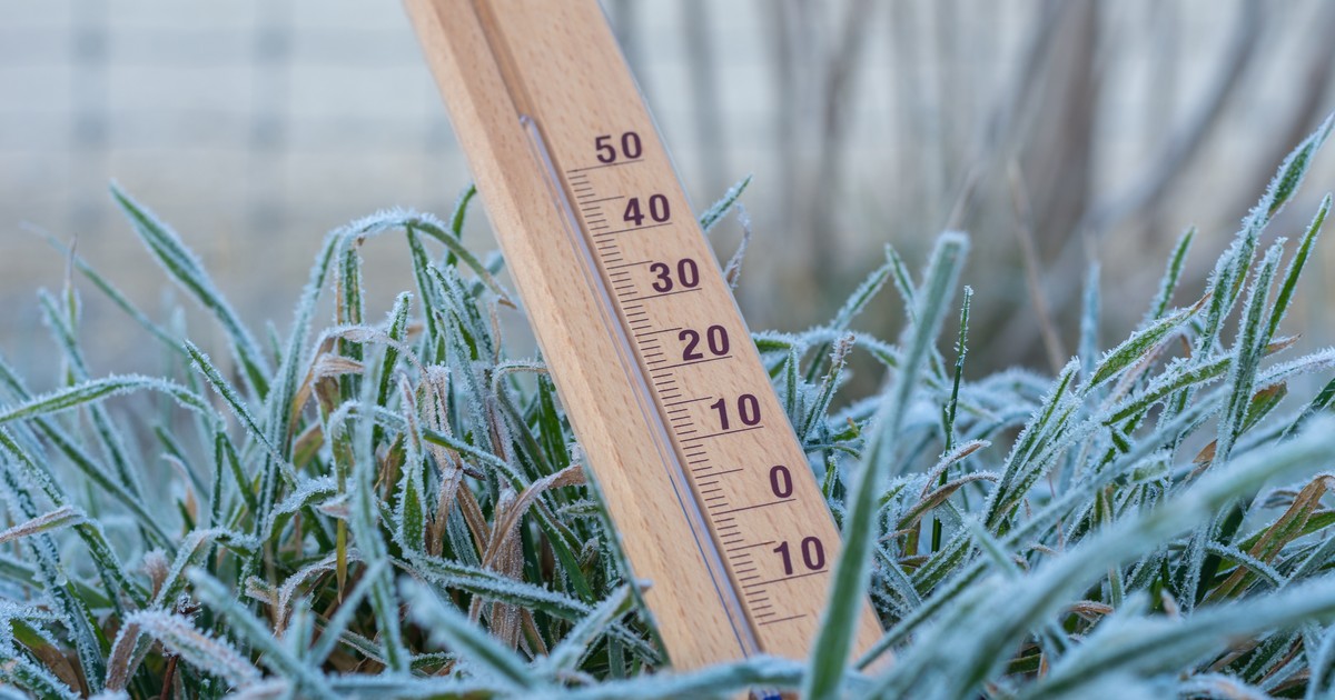 Pogoda Łódź na dziś. Prognoza pogody 2019-02-02 - Wiadomości