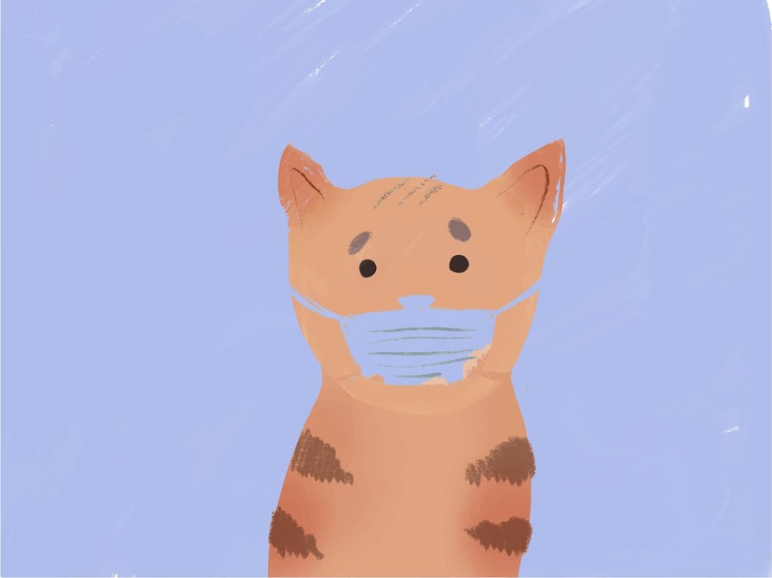 Bolje je obratiti pažnju na higijenu ljubimca nego ga staviti u izolaciju