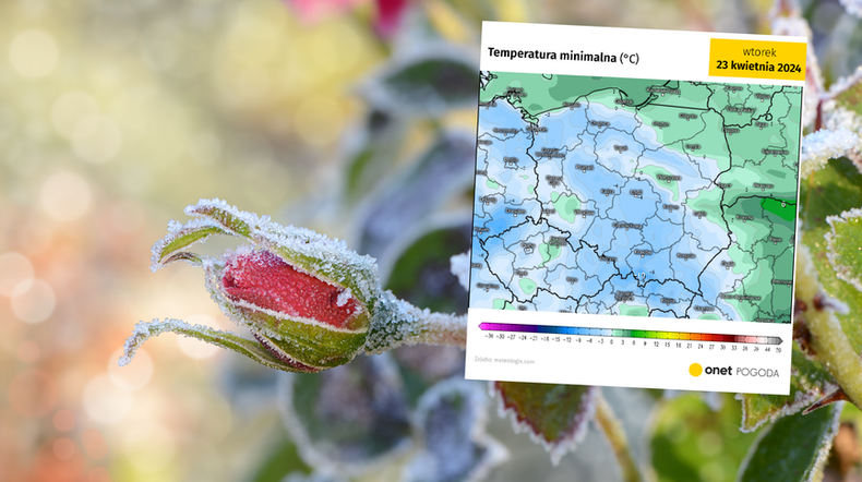 Za nami kolejna zimna noc, a apogeum chłodów dopiero nadchodzi (screen: meteologix.com)