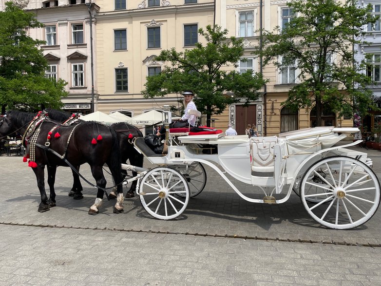 Dorożka Jarosława Madeja