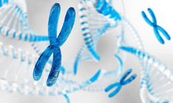Chromosom - budowa, rodzaje i funkcje w organizmie. Aberracje chromosomowe i choroby genetyczne