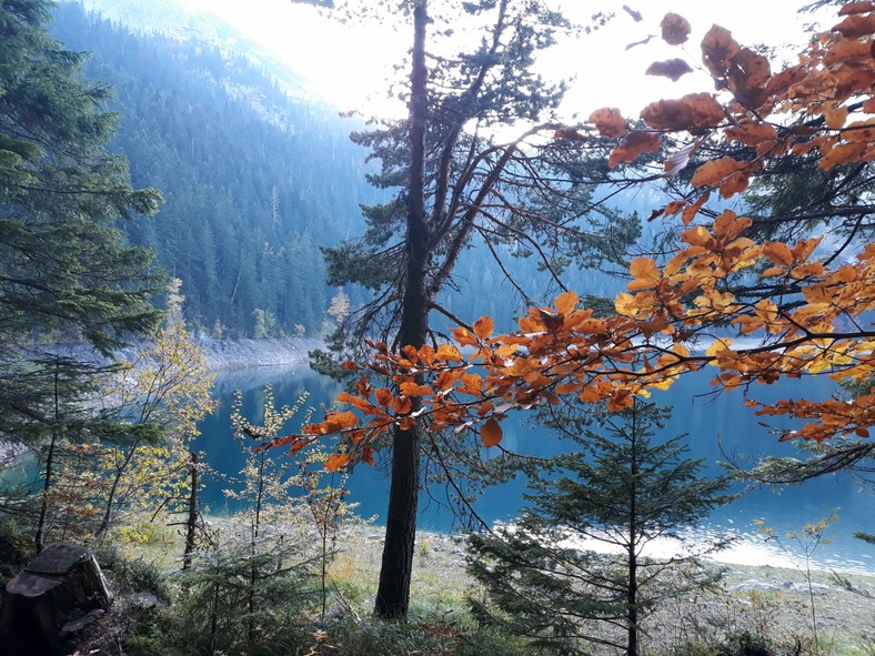 Czarne Jezioro, Park Narodowy Durmitor