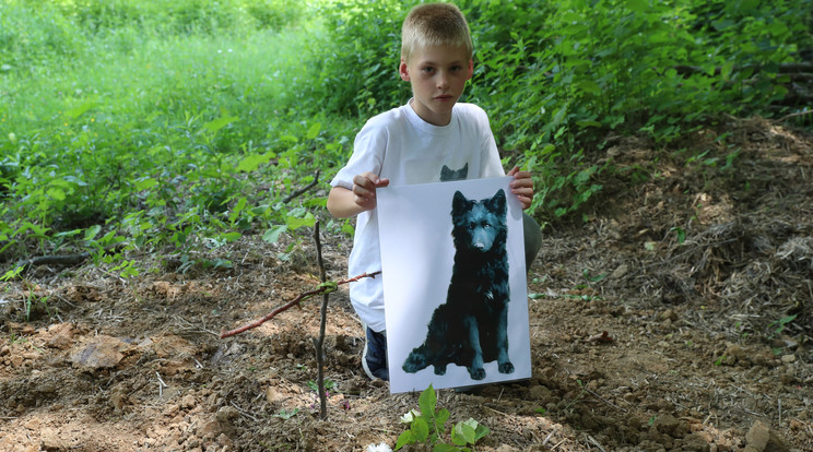 Gáspár az-óta is nagyon szomorú, és nem érti, miért kellett elpusztulnia kiskutyájának