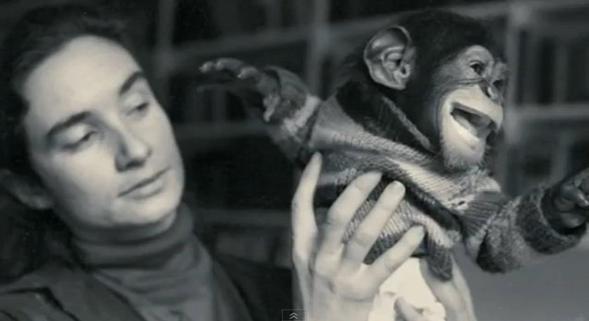 Stefani Lafarž ga je u svom domu u Njujorku podizala kao i svoje sedmoro dece