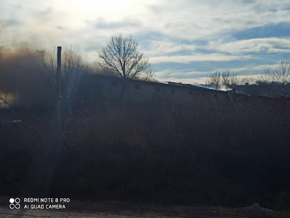Na napuštenoj bivšoj farmi u ataru zaječarskog sela Rgotina izbio je požar