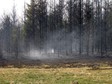 Pożar w okolicach Długopola, spłonęło 15 hektarów