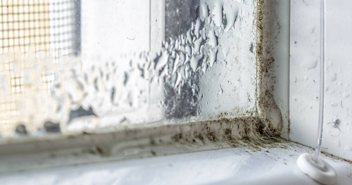 Polka o wynajmie w Londynie: brud był nie do przejścia, moje buty spleśniały