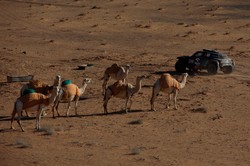 Rajd Dakar. Przygoński miał awarię. Stracił sporo czasu