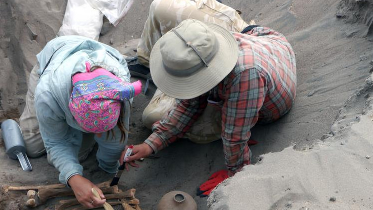 Archeolodzy z Uniwersytetu Wrocławskiego dokonali spektakularnego odkrycia. W Peru – w północnej części pustyni Atakama odkryli 150 grobów, które kryją szczątki osób zamieszkujących te tereny ponad 1500 lat temu.