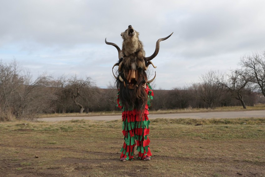 Obeležavanje Surve u selu kod Pernika, Bugarska