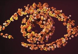 328179_velikibrat4logo