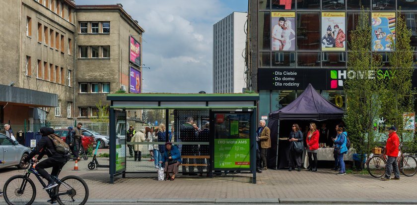 Katowiccy urzędnicy postawili zwykłe wiaty. Mówią, że są ekologiczne. Aż trudno w to uwierzyć