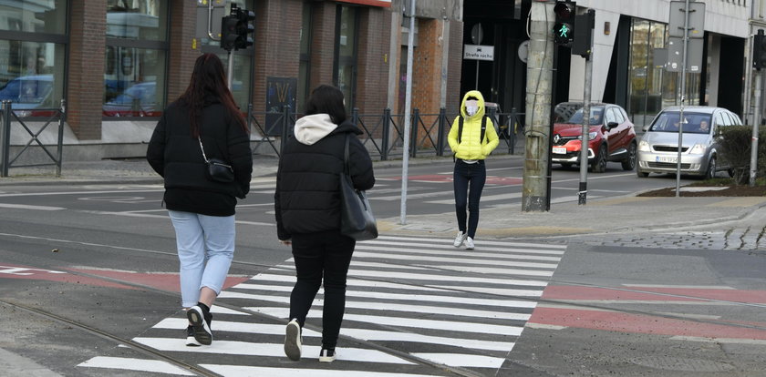 Zebra połączyła przystanki w centrum