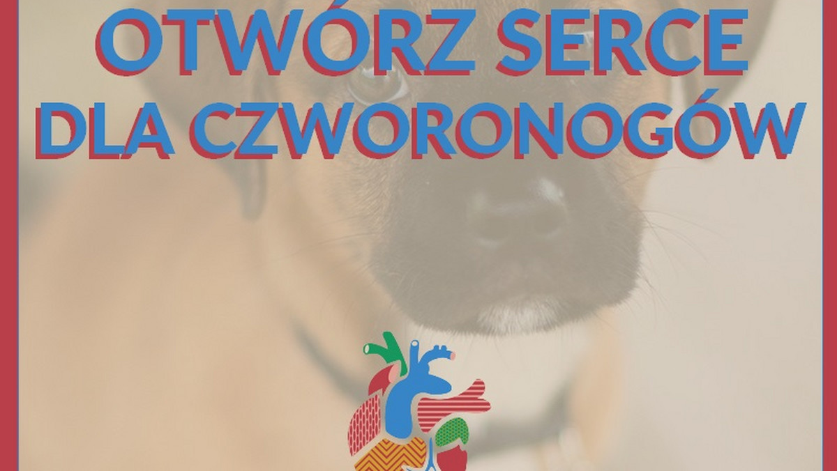 Wolne Serce mieści w sobie nie tylko miłość do muzyki alternatywnej, ale również do czworonożnych przyjaciół. Ekipa klubu Serce postanowiła więc pomóc zwierzakom ze Schroniska dla Bezdomnych Zwierząt KTOZ i zachęca do udziału w akcji.