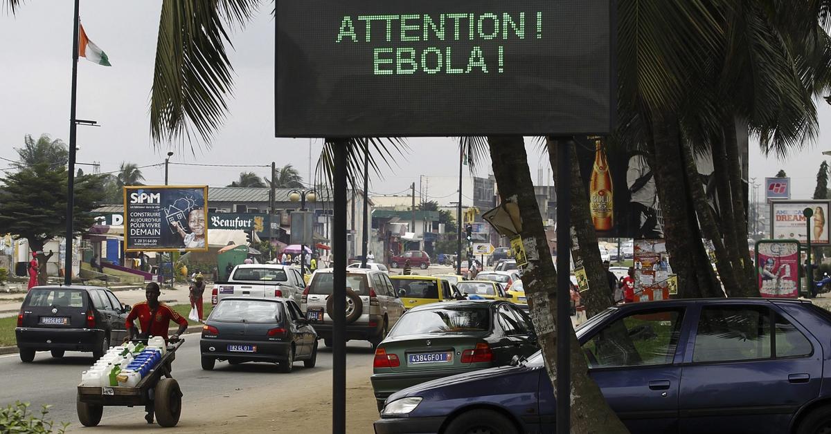 W Nigerii 12 Nowych Przypadków Eboli Dziennikpl 2184
