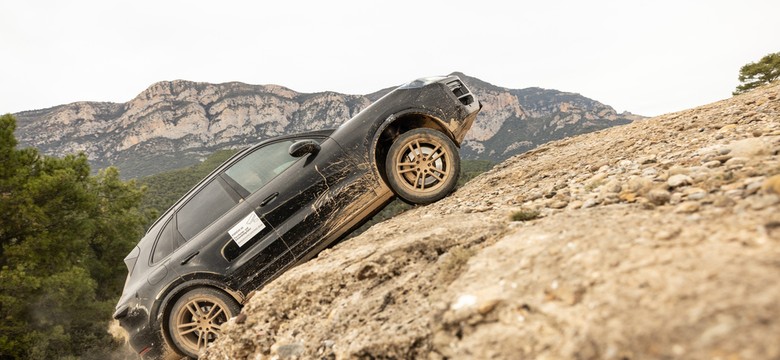 Porsche rozbiło bank. Będzie 5 nowych modeli