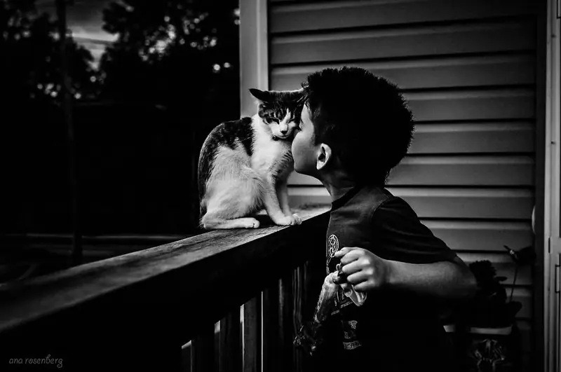 Boy-and-his-pets-10__880