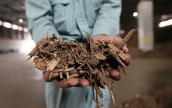 Energia odnawialna w Polsce: PEP zainwestuje w elektrownie biomasy