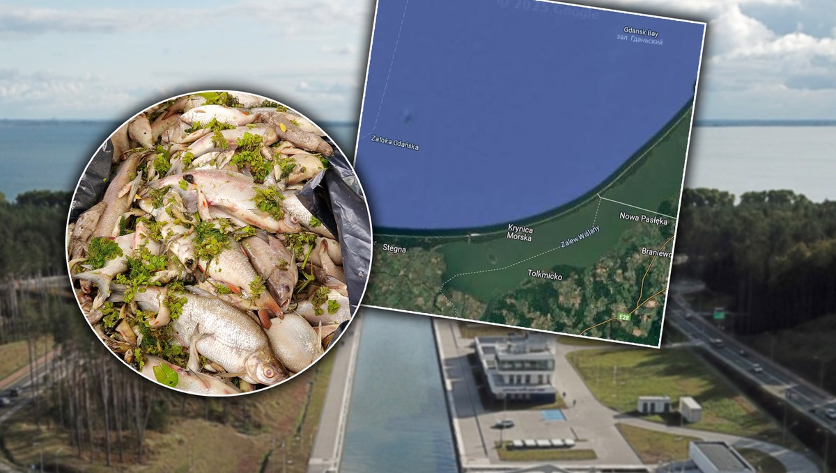 Nine people with suspected haffing after eating fish. GIS publishes new data