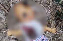 Woził dzieci do szkoły, zatrzymywał się w polu. W oborniku chował makabryczną lalkę