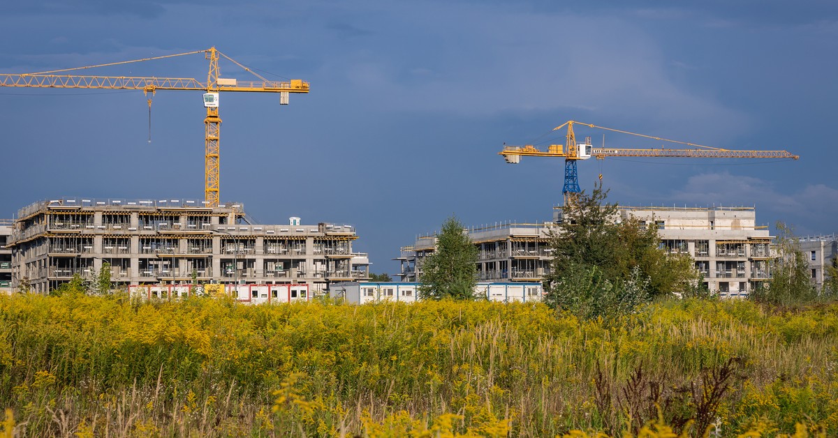 Rząd ogranicza dostęp do WZ-ek. Ale zostawia furtkę w przepisach