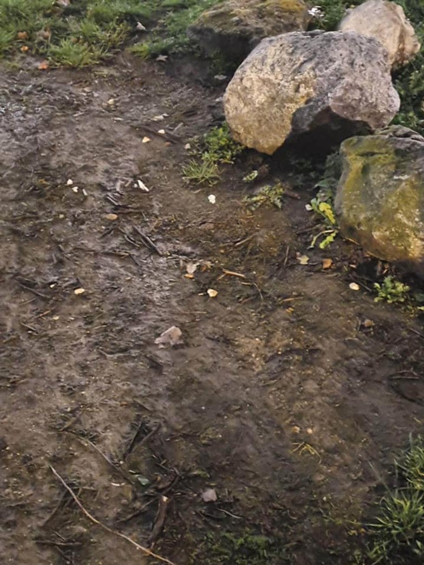 Sumnjive supstance na Kalemegdanu