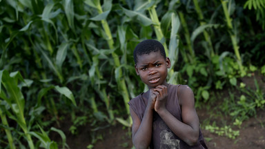 Głód zagraża milionom dzieci w Afryce. Katastrofalne skutki El Niño