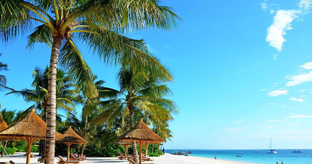 A rise in price of coconut is causing panic in Zanzibar and here's why - Vimarsana News