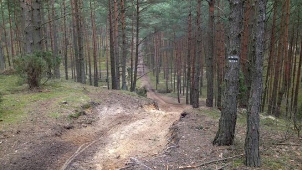 Lasy Państwowe zrekultywowały dotąd ponad 16 tys. ha byłych terenów powojskowych i poligonów.