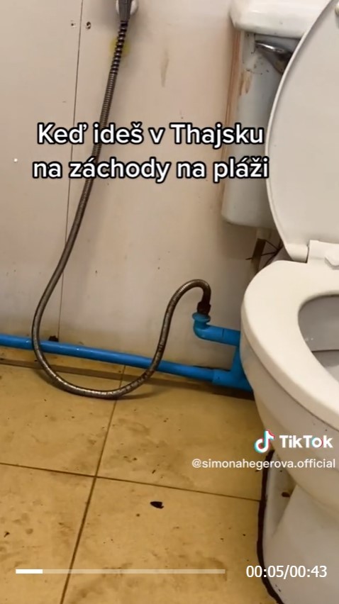 Simu čakalo na plážovom WC nemilé prekvapenie.