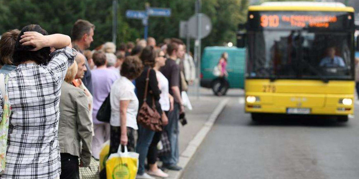 autobusy, komunikacja miejska, katowice, KZK GOP