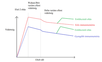 Az erős immunitással rendelkezők alapból magasabb védettséget érnek el, amely lassabban is csökken, mint a gyengébb immunitással rendelkezőké. 