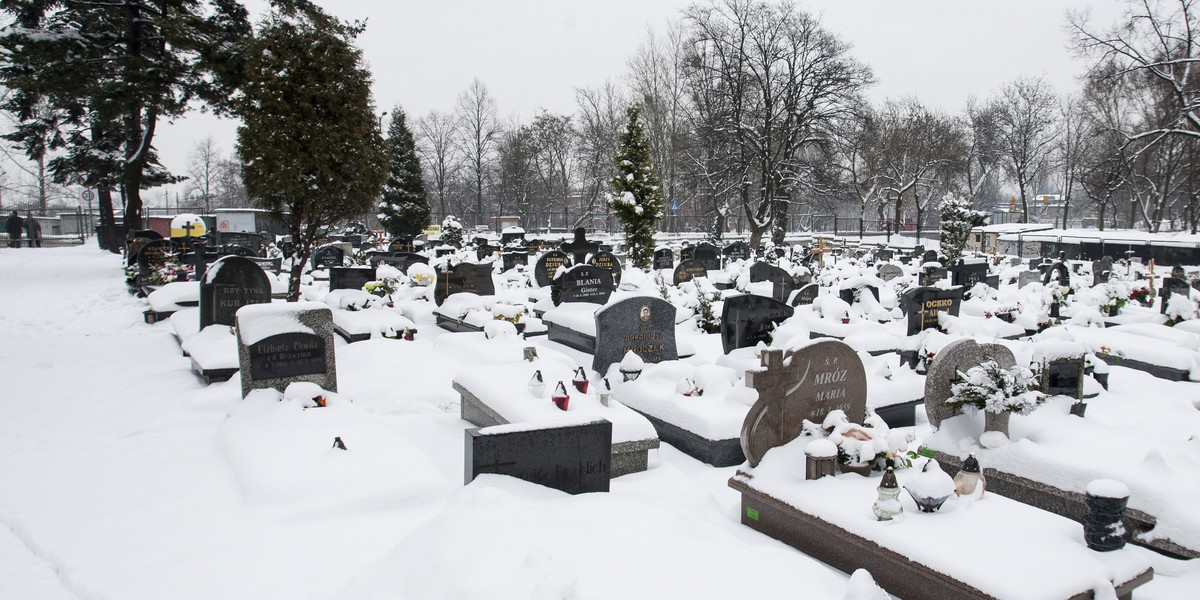 Ruda Śląska, cmentarz