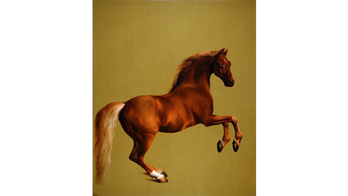 Whistlejacket, George Stubbs.